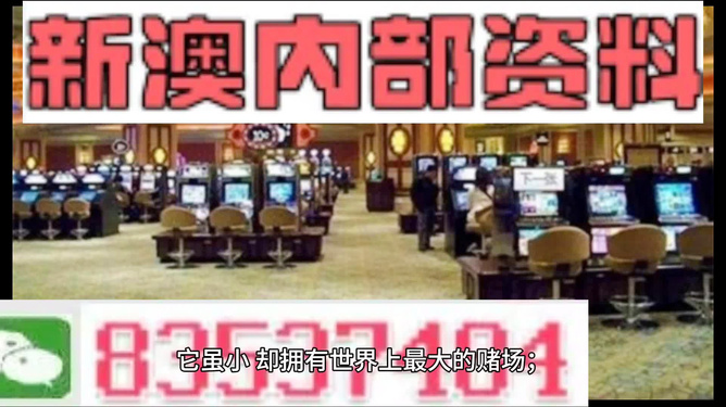 2024新澳精准资料免费,新机遇与挑战的深度分析——{关键词3}