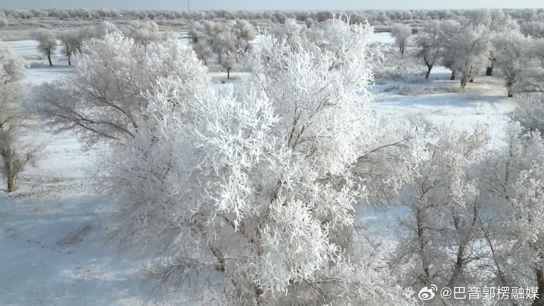 塔克拉玛干沙漠降雪，奇迹般的冬日画卷