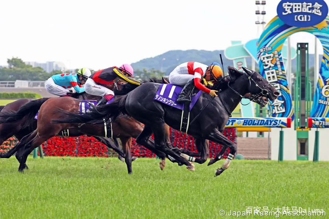 香港特马资料王中王助你实现目标的新年愿景,香港特马资料王中王_{关键词3}