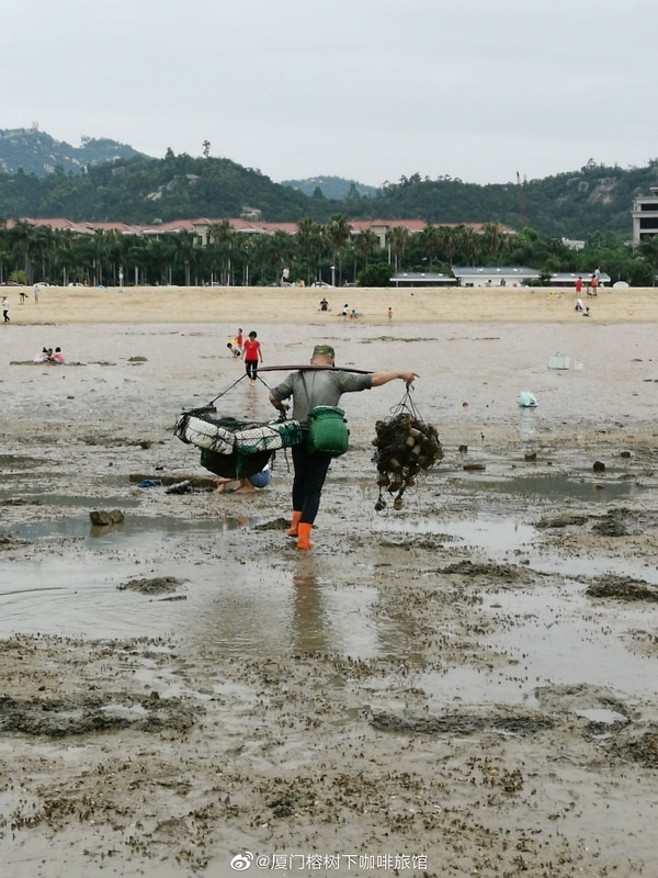 赶海现抓，海鲜盛宴——一场味蕾的狂欢