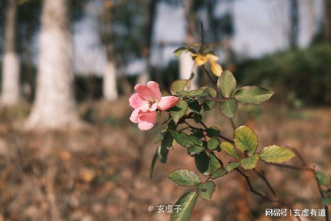 立春躲春的正确方式——顺应自然，守护健康