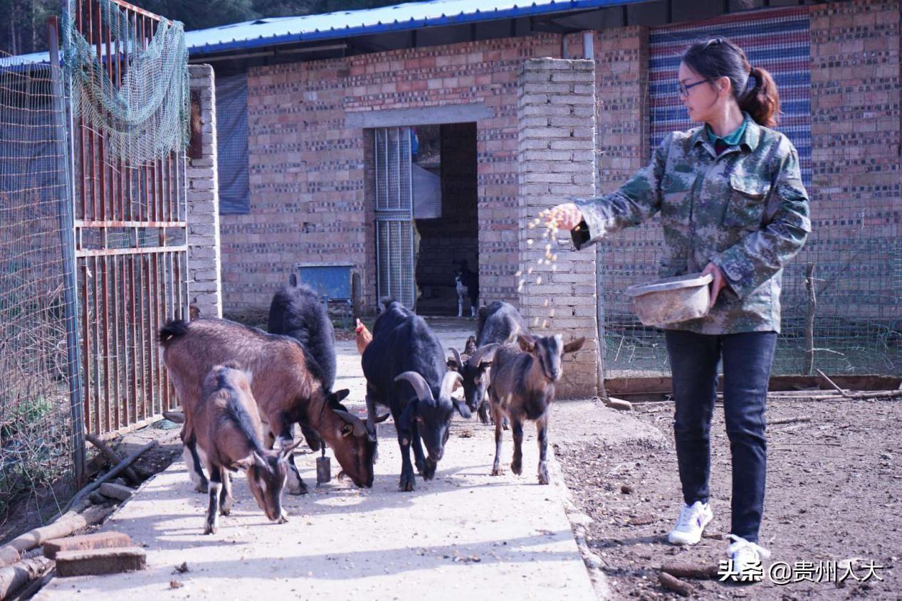 生态筑梦，向美而行，绿色发展的时代旋律与地方实践