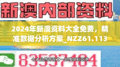 2024新澳精准正版资料揭示财富密码新启示,2024新澳精准正版资料_高级款51.387