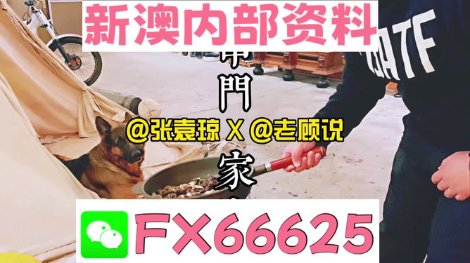 揭秘新澳门精准资料大全管家婆料，挑战与机遇的交织，The84.296背后的秘密！