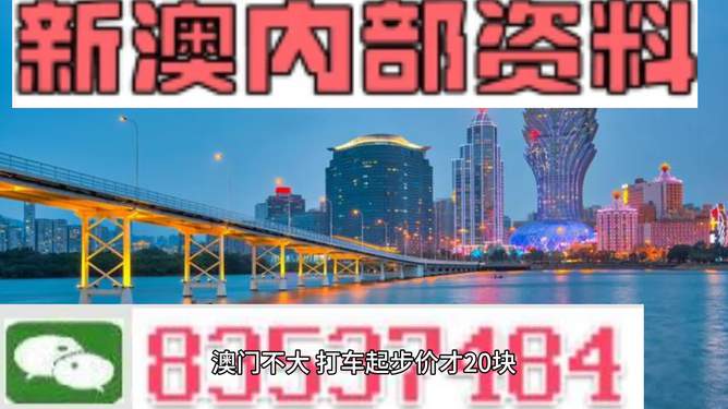 惊曝！新澳门全年免费料与内部报告揭秘，模拟版42.414带来市场巨震！