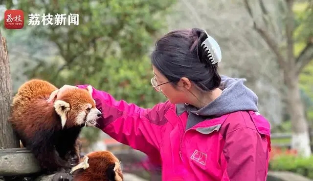 剑桥硕士成动物园饲养员 本人回应，跨界人生，追寻梦想与热爱的新篇章