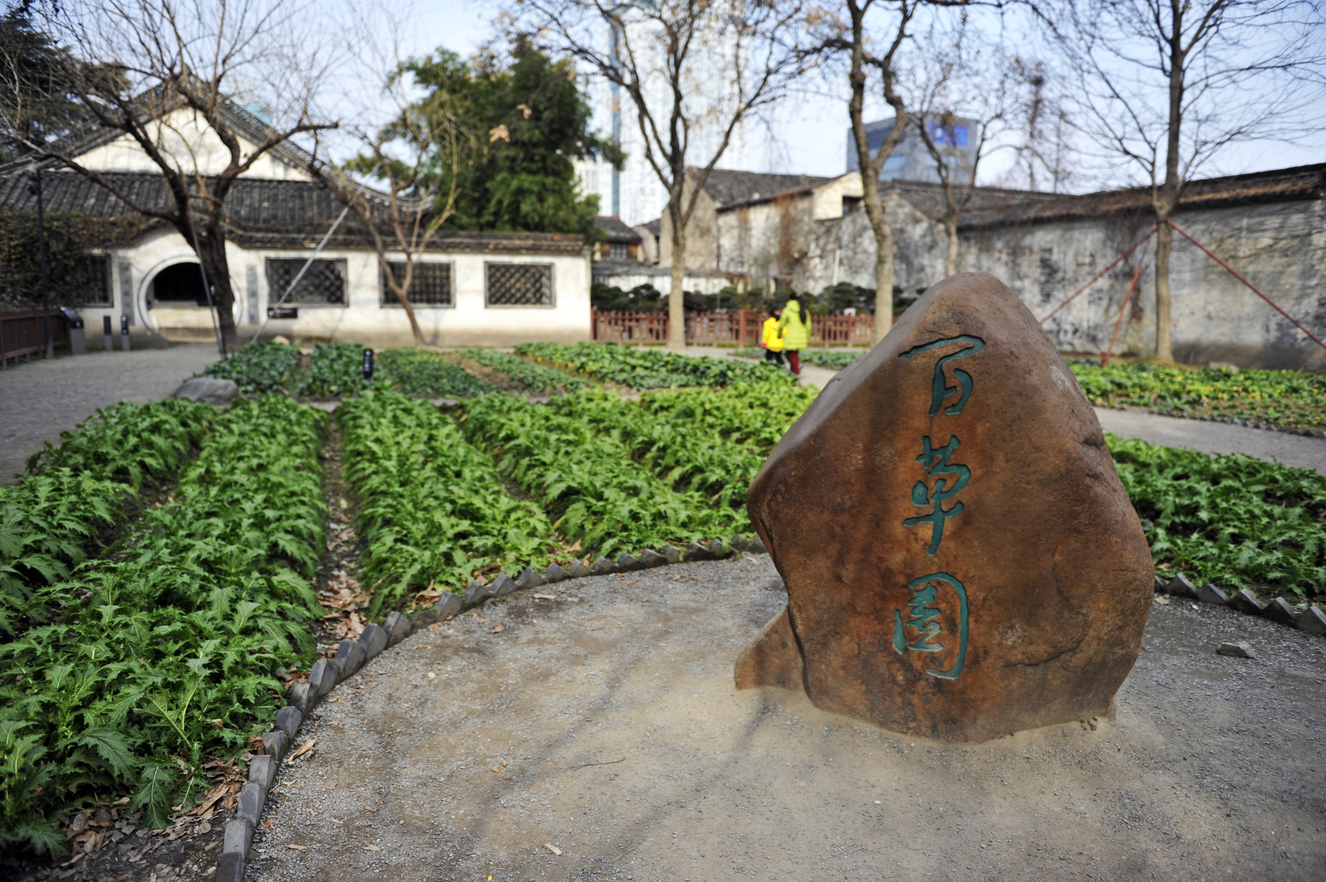 震惊！百草园地下竟藏千年秘密，战国遗迹惊现都市中心！